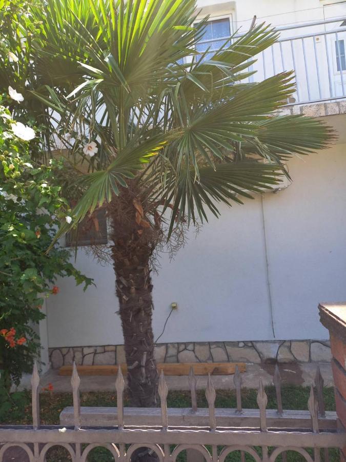 Hostel Traveler'S Rest - Near Podgorica Airport Mitrovici  Zewnętrze zdjęcie